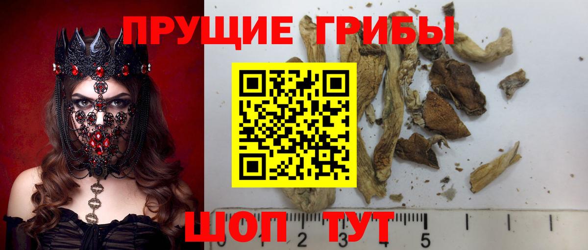 Трёхгорный  Галлюциногенные грибы MAGIC MUSHROOMS  Галлюциногенные грибы Psilocybe  Вход с VPN 