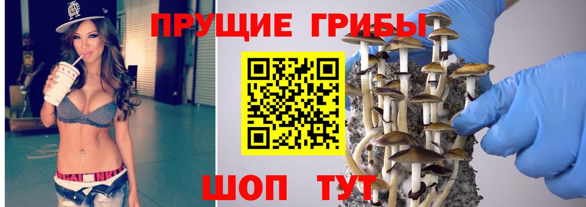 Галлюциногенные грибы GOLDEN TEACHER Трёхгорный